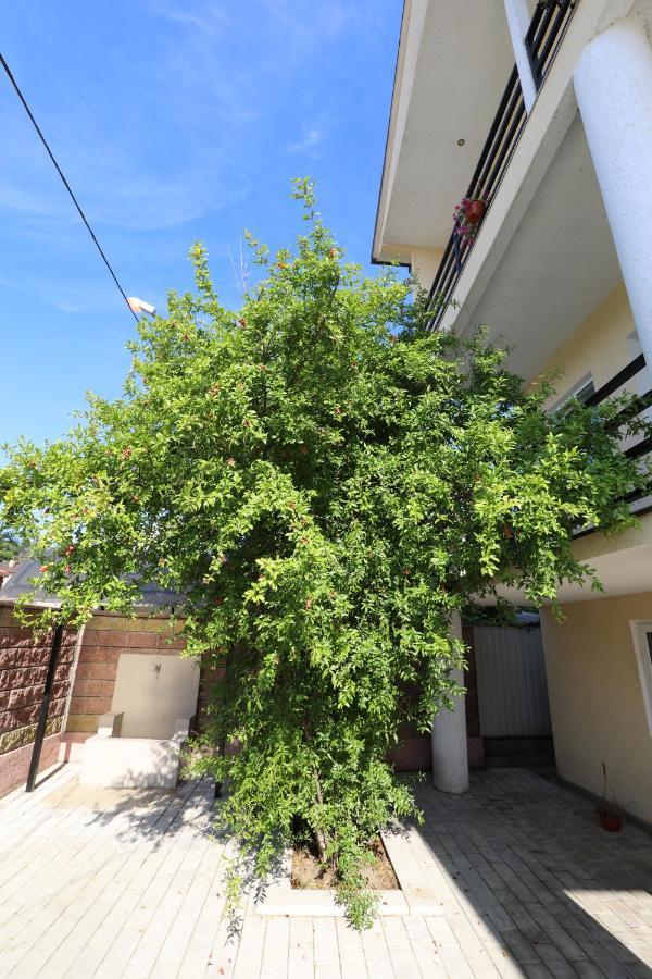 Rozalin Guest House Gudauta Exterior photo